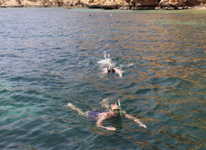 Snorkeling in Oman